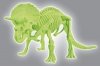 Naukowa Zabawa | Skamieniałości | Triceratops Fluorescencyjny